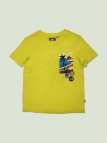 boys-yellow-color-printed-round-neck-tshirt